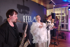 Звуковое-оборудование-для-выступления-группы-Fell-Me