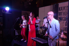 Профессиональная-звуковая-система