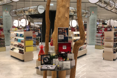 1_Презентация-в-Рив-Гош