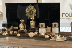 V-Canto-презентация