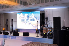 Аренда-звука-на-свадьбу