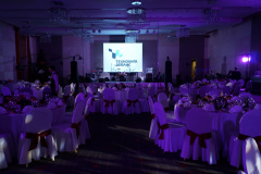 Экран-на-банкет