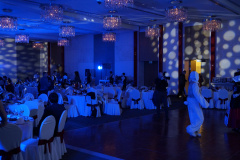 красивый-свет-на-банкет