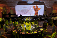 Профессиональный-LED-экран-для-трансляций-от-Nikolaev-Pro-на-ТЭФИ-30-лет